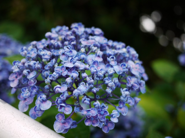 お ま じ な い_c0198903_225512.jpg