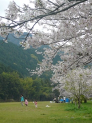 e0081903_98572.jpg