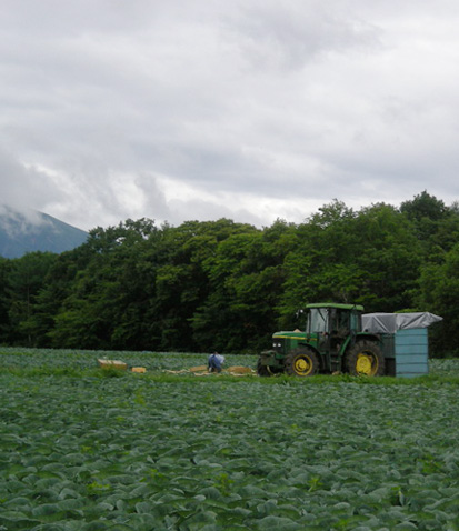 北軽井沢〜 2010.06.27_e0103604_9135533.jpg