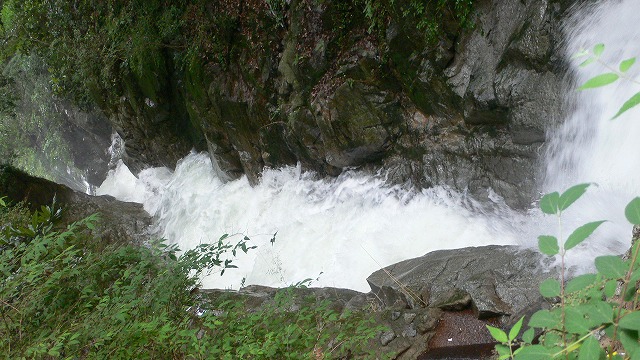 e0183004_18455048.jpg