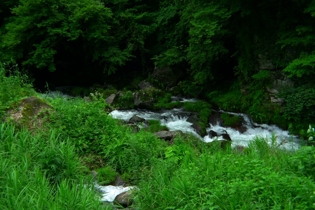 a0097006_18133217.jpg