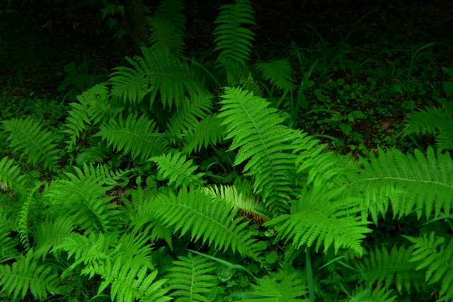 a0097006_18143625.jpg
