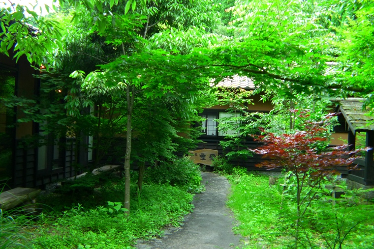 a0097006_18145385.jpg