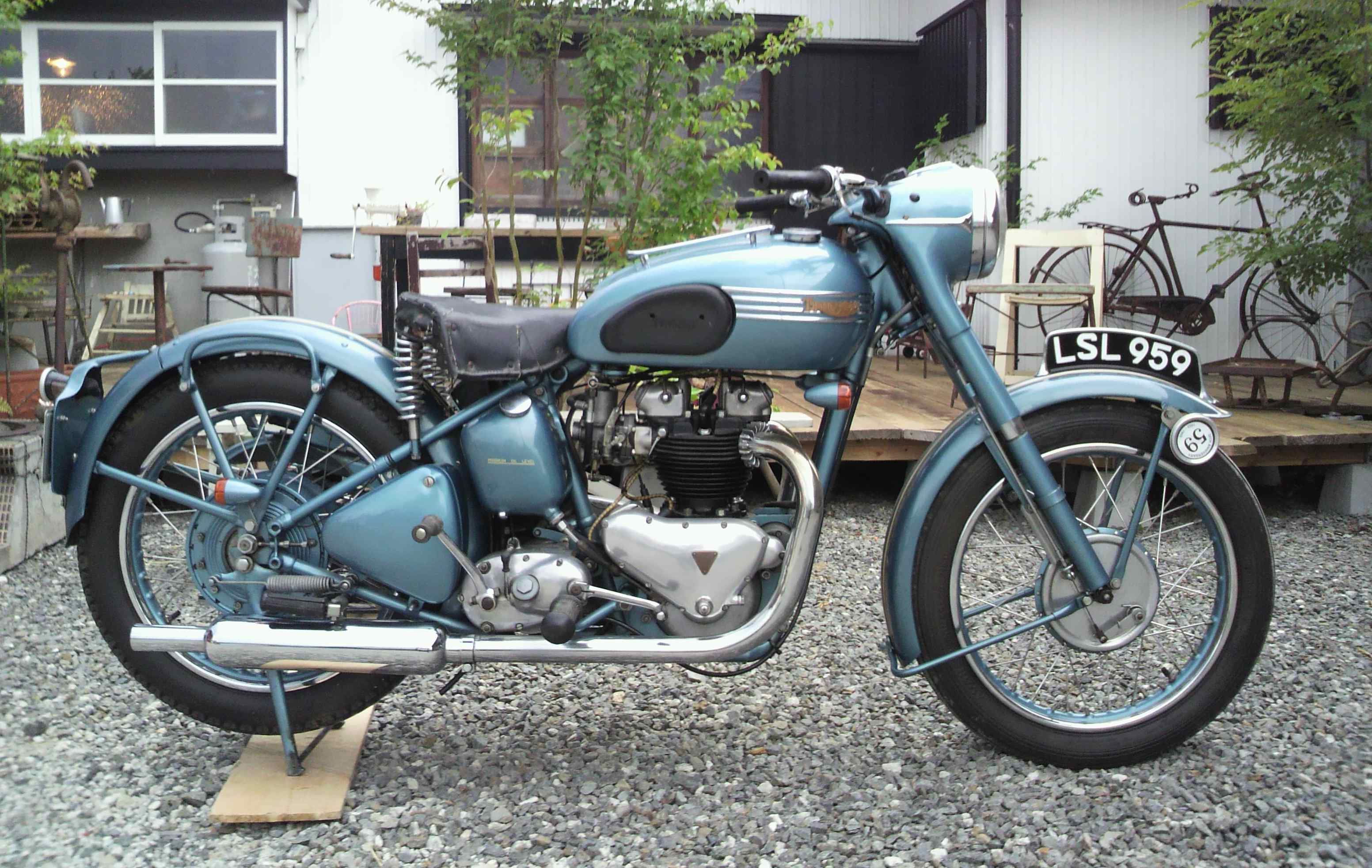 1952年 Triumph 6t Thunderbird Scc Izm