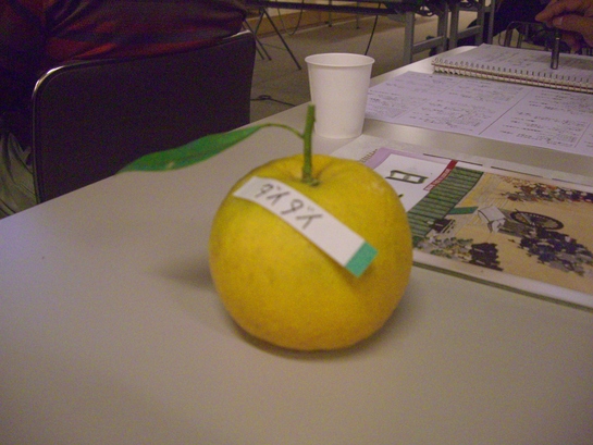 d0007913_0352935.jpg