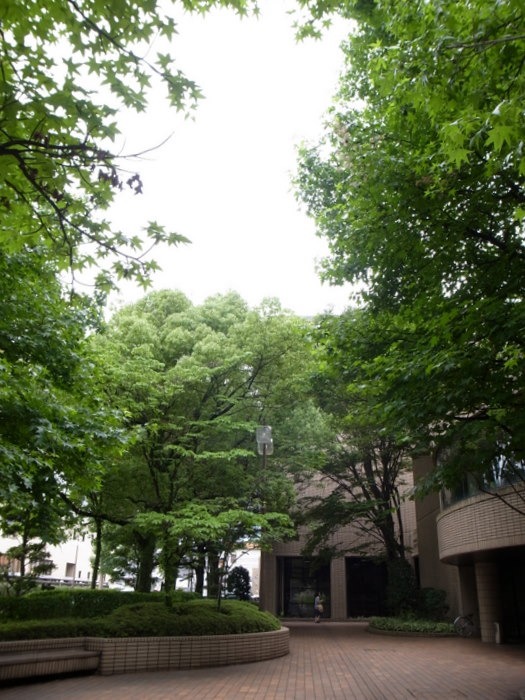 佐伯区民文化センター_c0116915_23244722.jpg