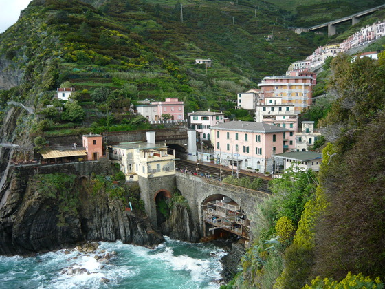 c0159117_20551117.jpg