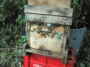 f0232920_11275548.gif