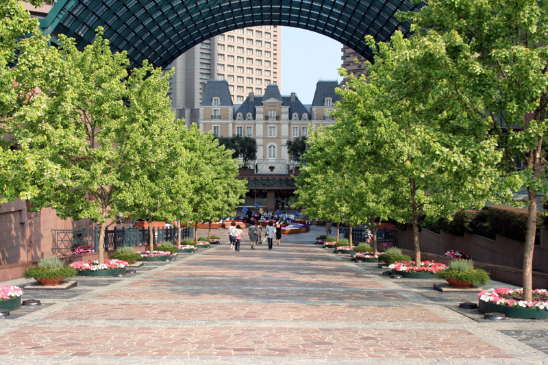 d0040124_23291864.jpg