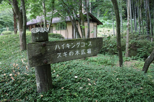 e0162524_1227291.jpg