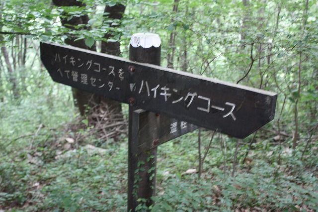 e0162524_12274344.jpg