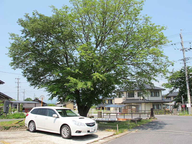 強引な「開発」と良い意味での「雨ざらし」_f0076731_22285429.jpg