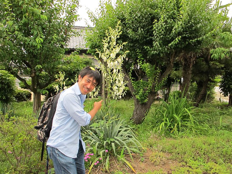 強引な「開発」と良い意味での「雨ざらし」_f0076731_22354663.jpg