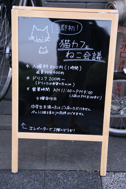 京都「猫カフェ　ねこ会議」_d0167436_8184268.jpg