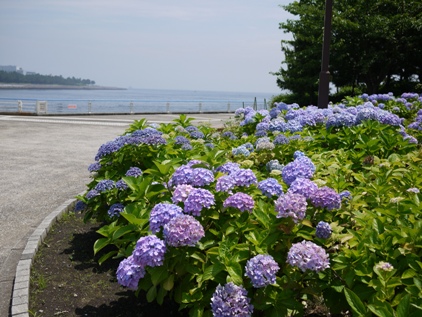 f0232136_13265198.jpg