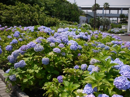 f0232136_1328148.jpg
