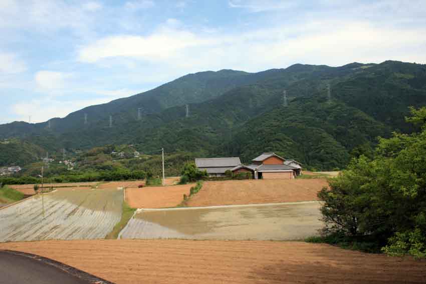 美馬市穴吹町平野の「四足堂」と「和田津見神社｣♪_d0058941_2132959.jpg