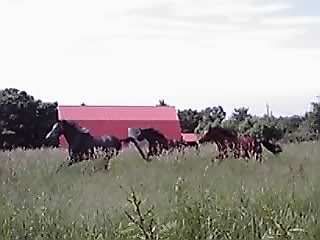 e0145441_21687.jpg