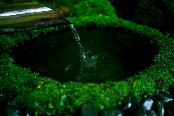 Slow Holiday of Rainy Season In KAMAKURA_c0228945_23473852.jpg