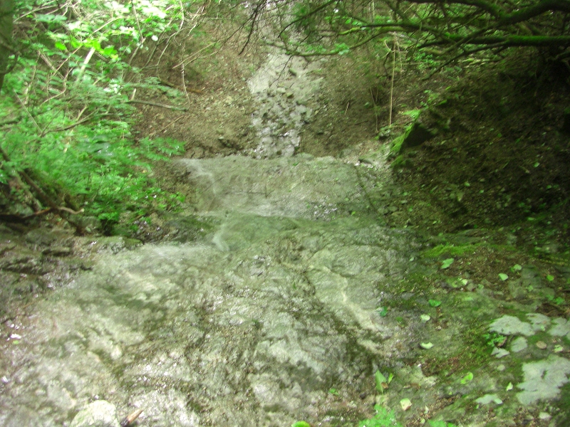 昨年からの宿題、石ブテ東谷から金剛山_a0122149_22503246.jpg