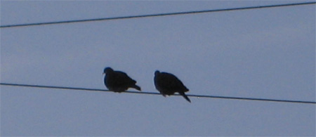c0084251_2254547.jpg