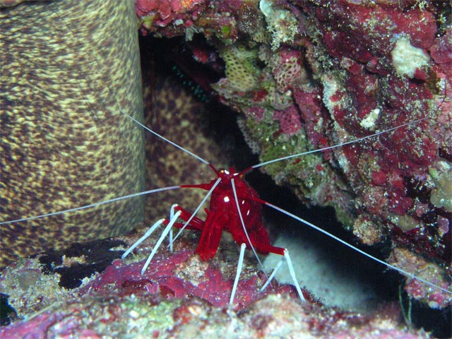 e0135351_62402.jpg