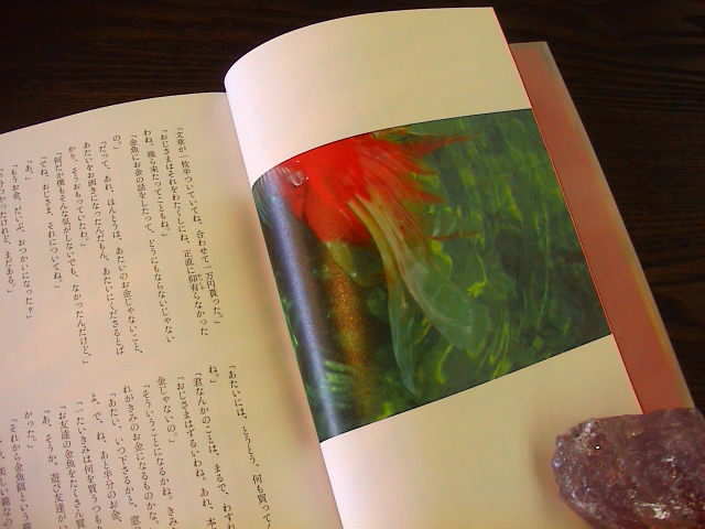 蜜のあわれ。_e0060555_2224495.jpg