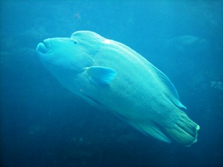 沖縄_f0196455_1718725.jpg