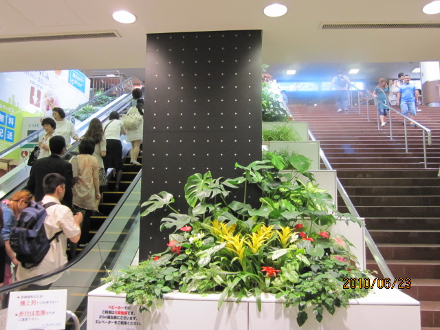 横浜駅 西口の花屋さん 気まぐれ日記