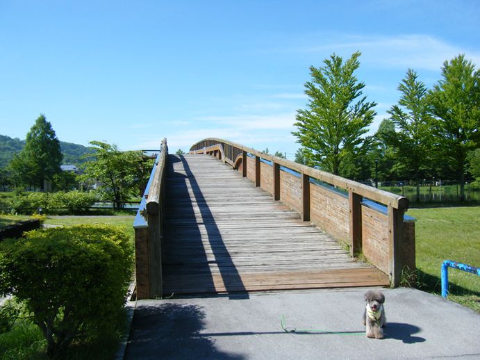 e0129656_2317397.jpg