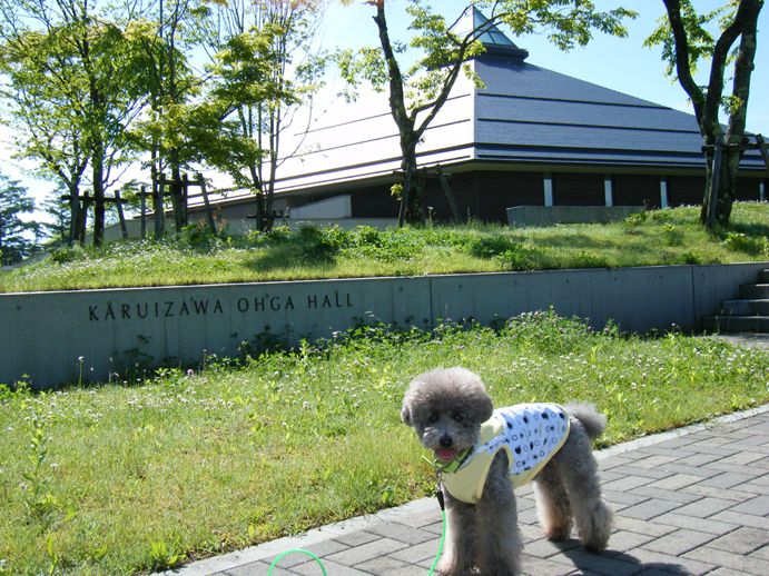 e0129656_2318959.jpg