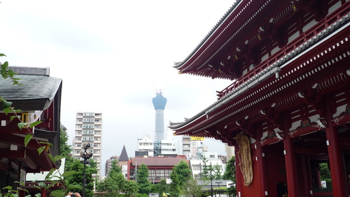 浅草寺　平成本堂大営繕_a0147057_17564.jpg