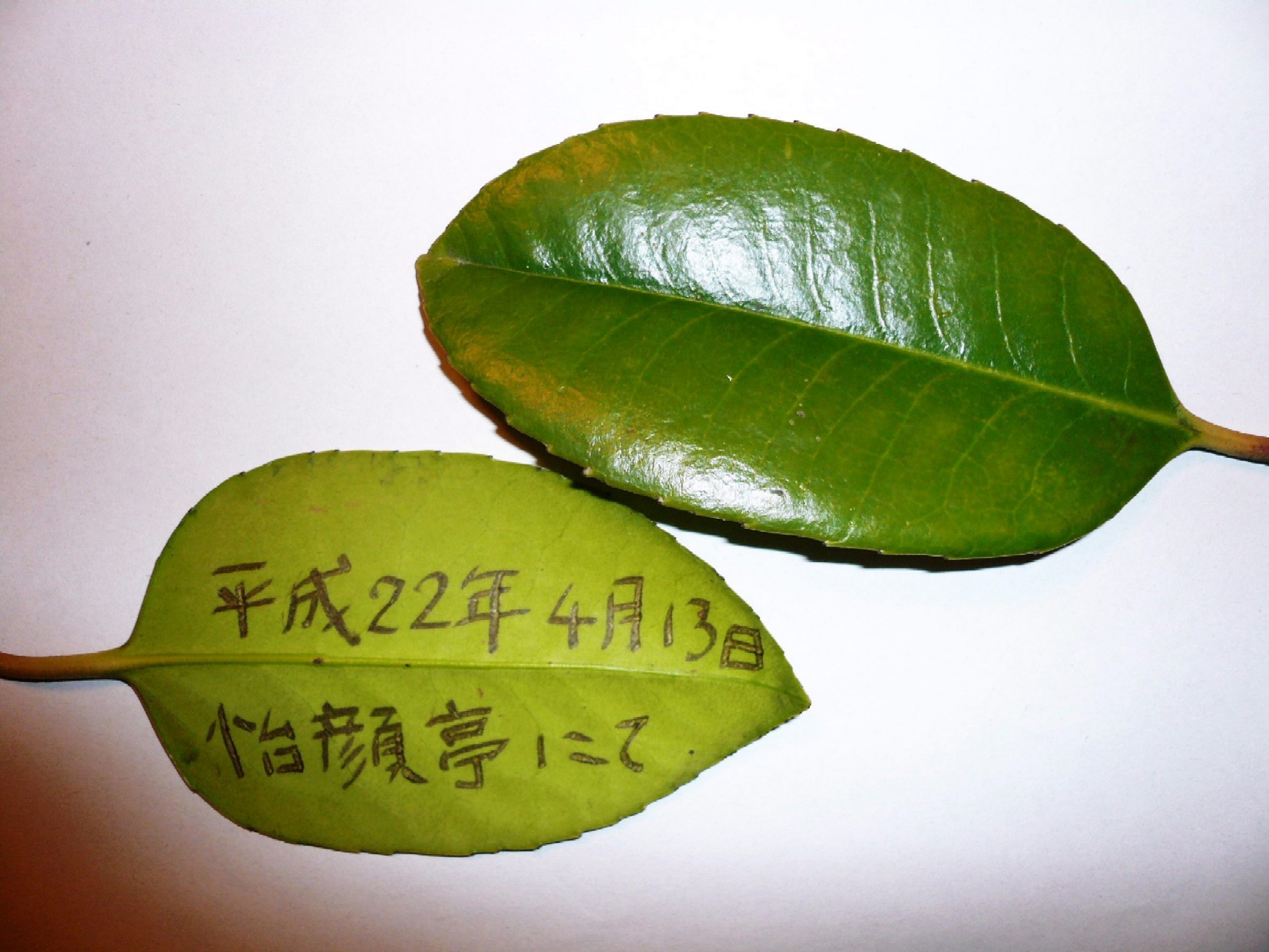 c0115560_14253687.jpg