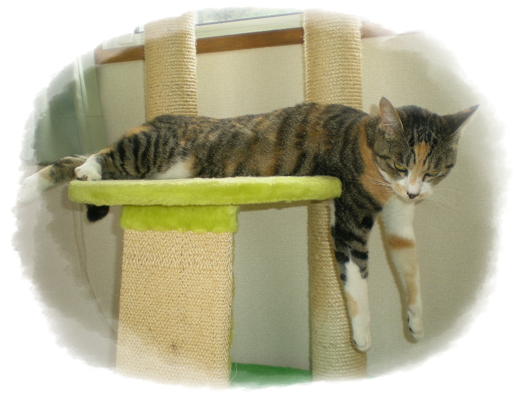 2010年6月29日(火)雨なのにゴルフ?_f0060461_915764.jpg