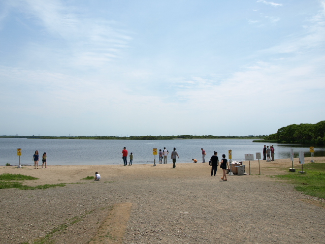 ♪ウトナイの湖畔～　６月_d0153062_10451763.jpg