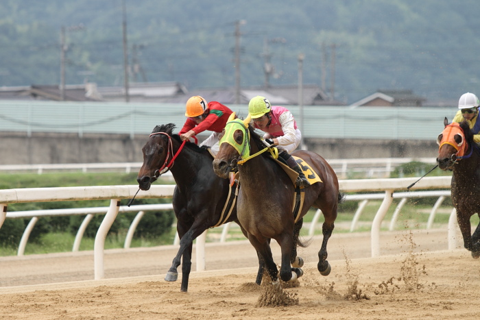 2010年6月27日（日） 福山競馬 4R 福山・高知連携円福寺シリーズ二戦 C7 その2_a0077663_82536.jpg