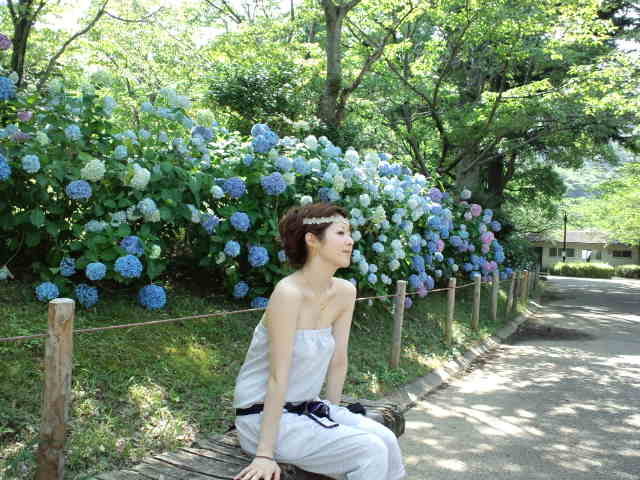 静岡の思い出の地巡り♪ 城北公園_c0151965_18112971.jpg