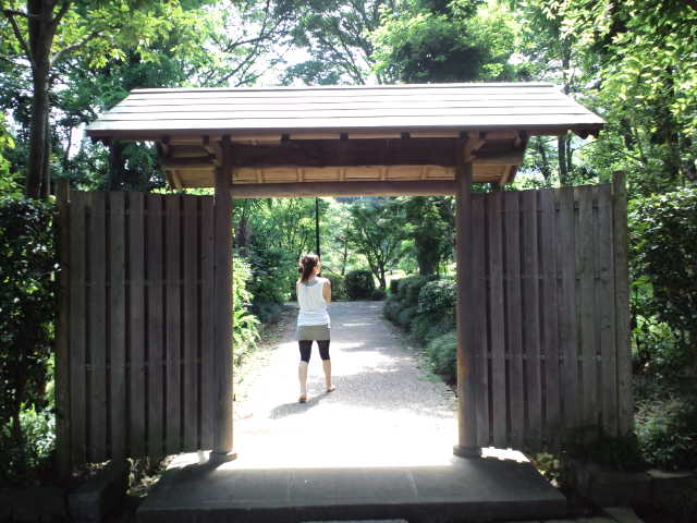 静岡の思い出の地巡り♪ 城北公園 Ⅱ_c0151965_18292667.jpg