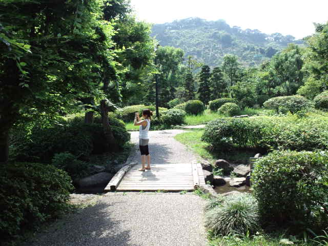 静岡の思い出の地巡り♪ 城北公園 Ⅱ_c0151965_18293541.jpg