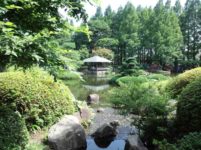 静岡の思い出の地巡り♪ 城北公園 Ⅱ_c0151965_18294798.jpg