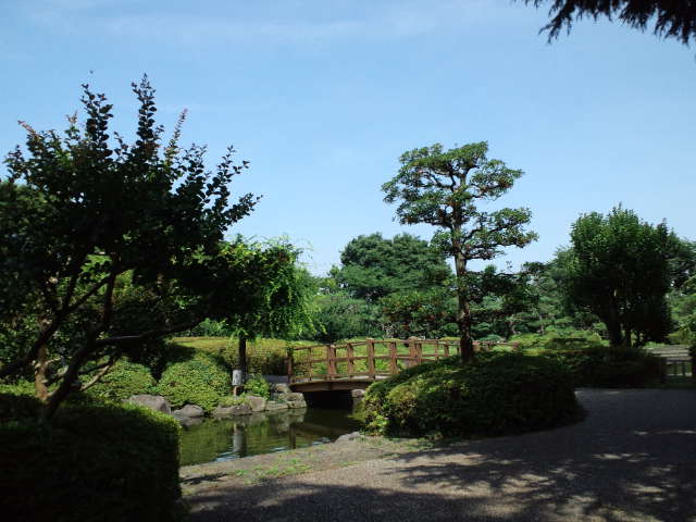 静岡の思い出の地巡り♪ 城北公園 Ⅱ_c0151965_183041.jpg