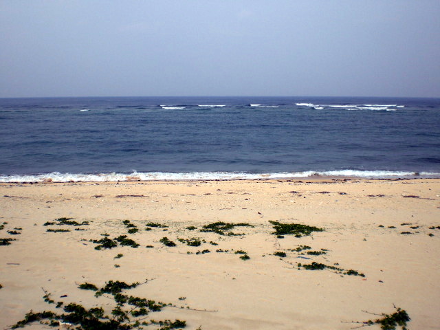 b0149867_77283.jpg