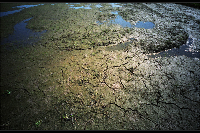 c0168172_224775.jpg