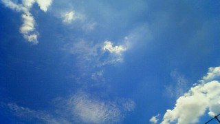 e0184077_01055.jpg