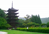 f0215580_9594167.jpg