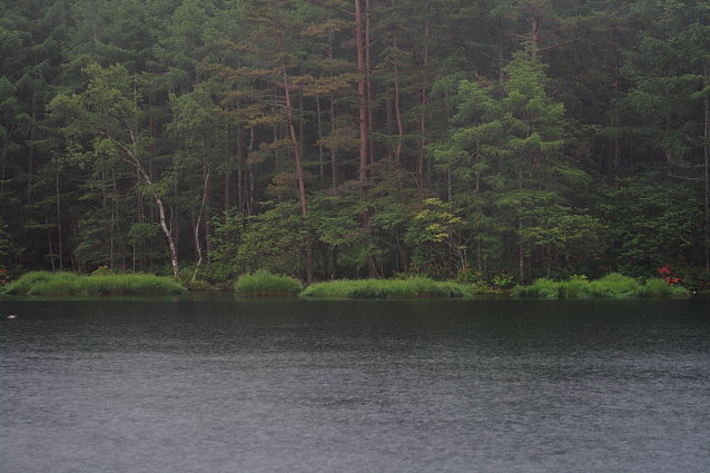 e0165983_16373755.jpg