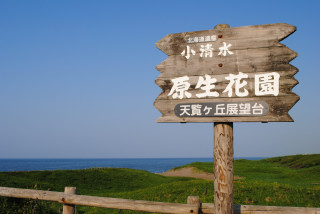 f0171283_145457100.jpg