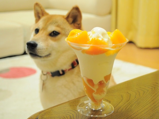 とろ~り甘くて冷たくて_a0126590_322196.jpg