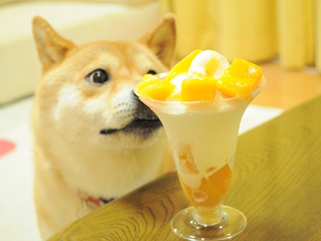 とろ~り甘くて冷たくて_a0126590_36451.jpg