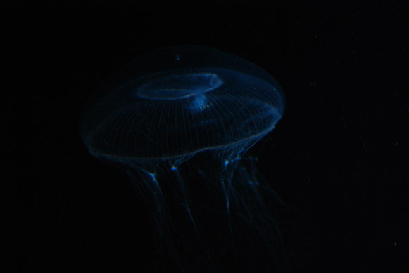 e0172592_044196.jpg